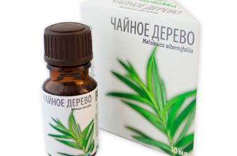 Ароматерапия для кожи тела как использовать эфирные масла 3 aromaterapiya dlya kozhi tela kak ispolzovat efirnye masla