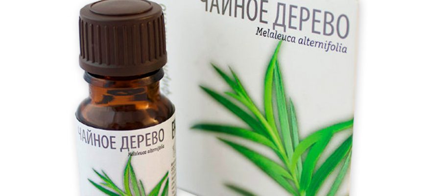 Ароматерапия для кожи тела как использовать эфирные масла 1 aromaterapiya dlya kozhi tela kak ispolzovat efirnye masla