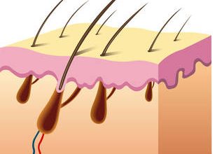Что такое трихология и как она помогает в уходе за волосами 5 chto takoe trihologiya i kak ona pomogaet v uhode za volosami