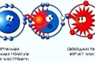 pitanie i gigiena kak eto svyazano 1