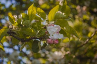 Профессиональные краски для волос стоит ли переплачивать 1 kraski