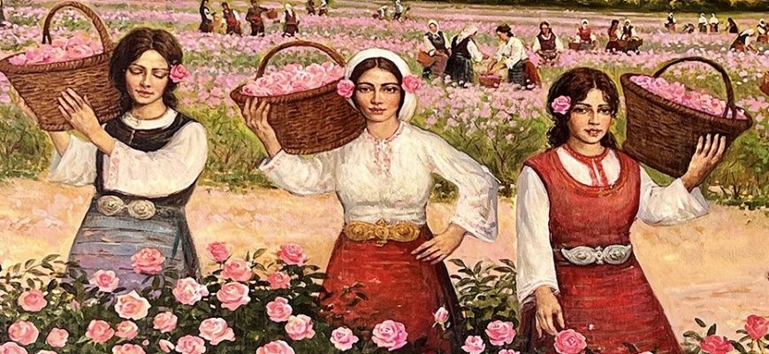 Антицеллюлитные средства с эфирными маслами как усилить эффект 4 masla