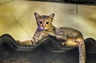 Солнцезащитные средства как сочетать с другими средствами ухода 3 sredstvami